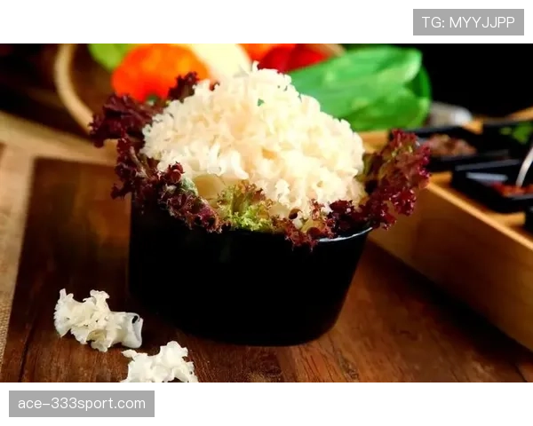 篮球投篮动作判定的关键点与常见误区解析